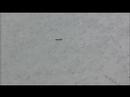 20080321.AIZU.??????????