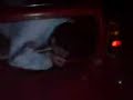 imigrant in austin a40