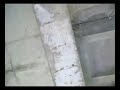 Opuszczona mleczarnia cz 2 Opuszczona mleczarnia cz 2
