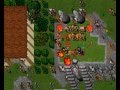 Tibia cazando en Lucera