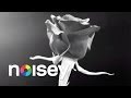 Dark Star(Official Video) 