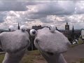 Edinburgh diary 5: Whirlwind - Scottish Falsetto Socks