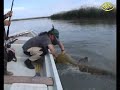 Невероятная рыбалка