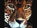 cumbia mix " Dj Jaguar "