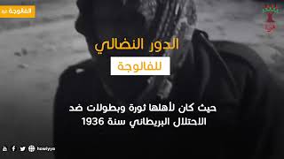 هوية - حكاية وطن - 9 : هوية - حكاية وطن - 9 :