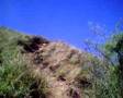 Maragondon