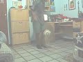 The bedroom demo