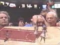 michael Jordan-i believe i can fly Manele-Gratis.net