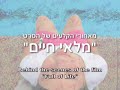 twelve-year-old roni is sent by her mother to a weight-loss summer camp for fat children - the 