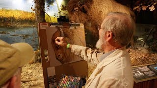 HAVE YOU BEEN TO THE MUSEUM OF YORK COUNTY LATELY?