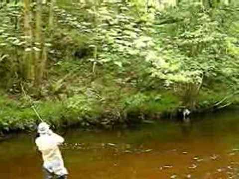 Flyfishing Exmoor