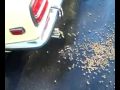 Starting up the Datsun...