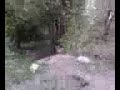 3 ballers jumpin TEN foot GAP at pioneer