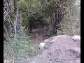 3 ballers jumpin TEN foot GAP at pioneer