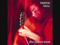 videos de Trevor Hall Venomous