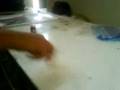 videos de chiste de mimika by isahy