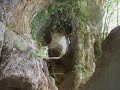 Walking Dordogne. Valley of Caves Tour
