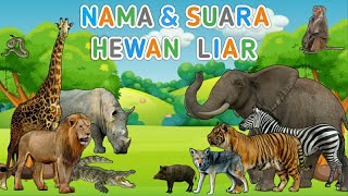 Nama dan suara binatang untuk anak anak  Hewan Lia