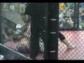 XMMA - Josh Fealy vs Charlie Arms (Round 2)