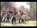 Suri Sikuri - Asociacion Cultural 24 de Junio - PERÚ