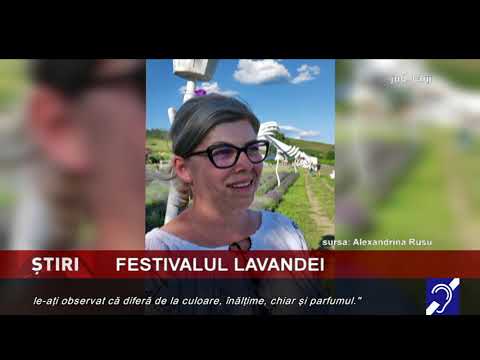 Culoare la festivalul lavandei