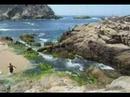 videos de Playas de Michoacan