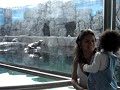Fui conhecer o aquário de Santos... Tem muitos peixes, tubarão, polvo, raias, mas o que mais divertiu a galera foi esse Lobo Marinho... 