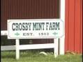 Foreclosed! The Crosby Mint Farm