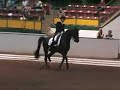 George Williams-Rocher- GP Freestyle-Raleigh CDI 2008