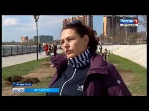 Просмотр видео