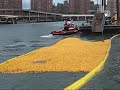 Rubber duck race Rubber duck race