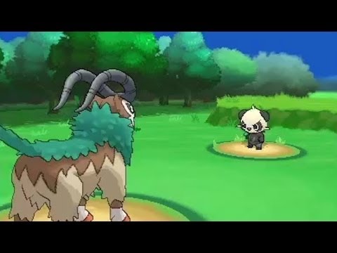how to be the best pokemon team