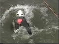 Chris Brands triatlon Almere 1991 deel 1.wmv