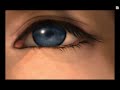 Final Fantasy X - Pretty Boy