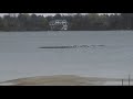 eagle vs. like 2000 ducks