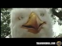 ##### Eagle Man Insurance #####