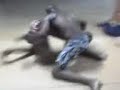 Treino de jiujitsu equipe PH vale tudo, rrsrsrs