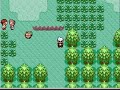 Pokemon Ruby Hack