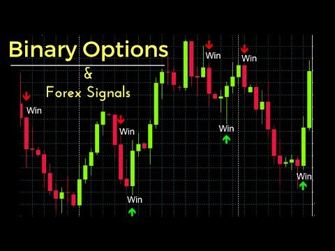 best forum for forex traders chat