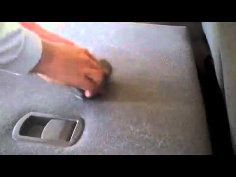 how to remove dog hair