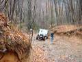 videos de Tellico Nov.15th, 2008