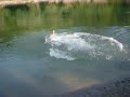 Jackass from Foca and funny jump