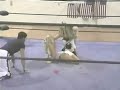 CWA - Brandi Wine vs Jillian Hall aka Macaela