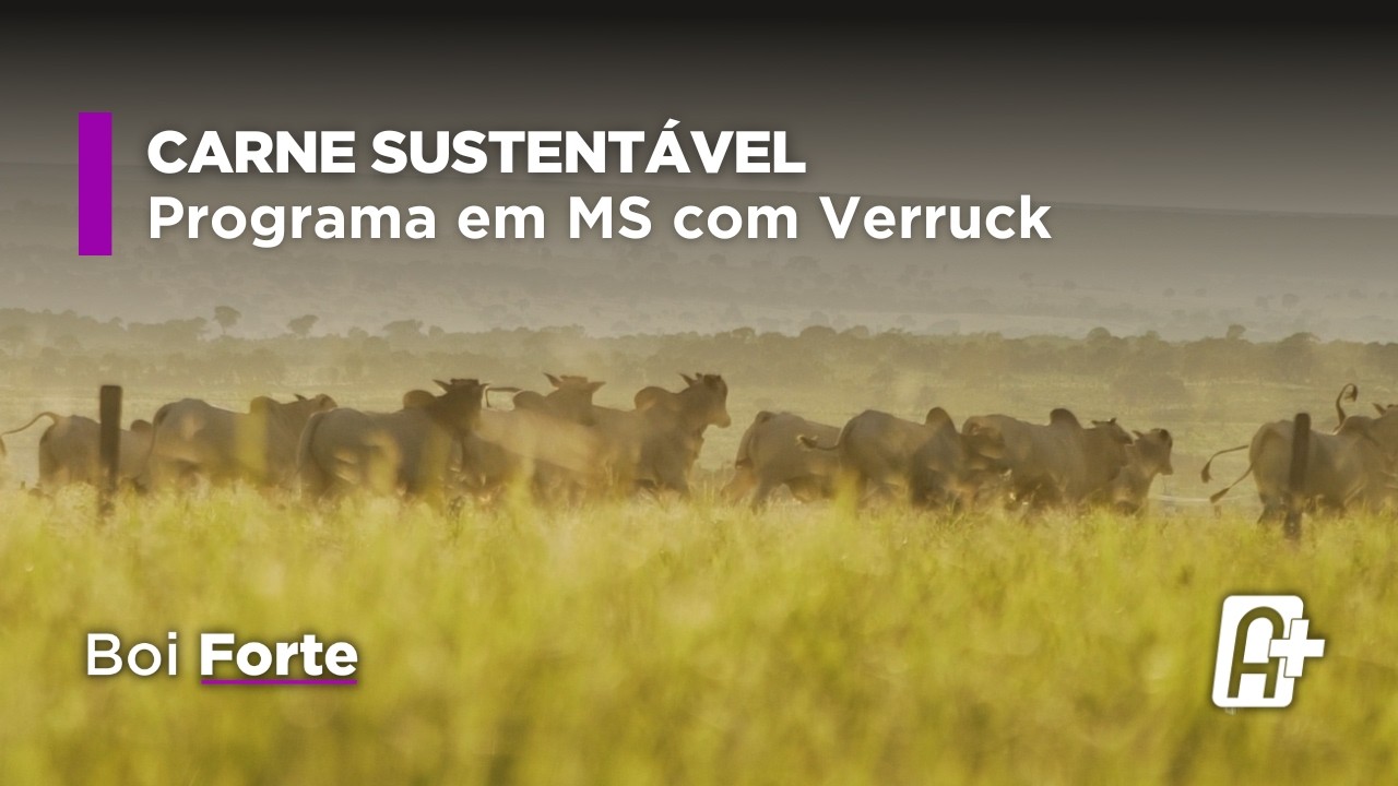 Pecuária sustentável: Programa Carne Sustentável/MS com Jaime Verruck (SEMADESC) | Boi Forte