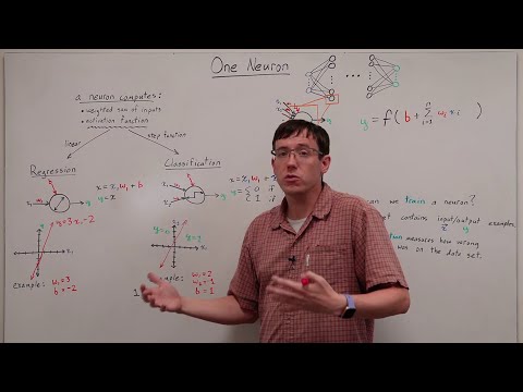 What can a single neuron compute? (DL 03)