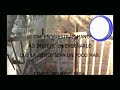 TODA LA VERDAD SOBRE NOU MANISES PARTE 2