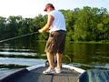 Nice Longnose Gar