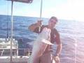 Snapper Run - Lawrie Charters Fishing Adelaide, SA