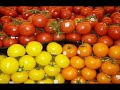 nutricion