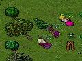 Fun on hiberna